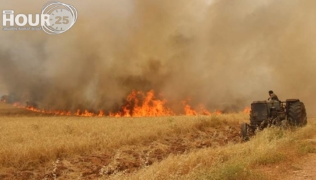 إخماد حريق التهم / 40 / دونماً مزروعة بالقمح إلى الجن...