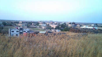 قرية قيصما..  غنى بالمشاريع الزراعية المروية