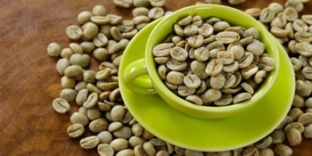 القهوة الخضراء علاج فعال للسمنة